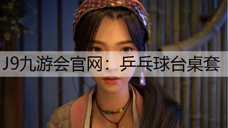 乒乓球台桌套