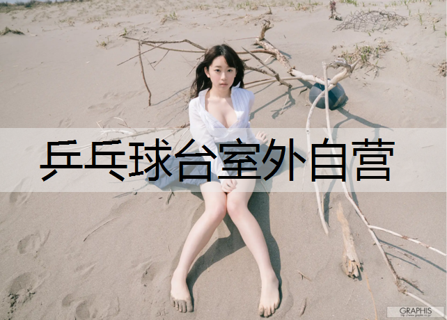 乒乓球台室外自营 乒乓球台室外自营