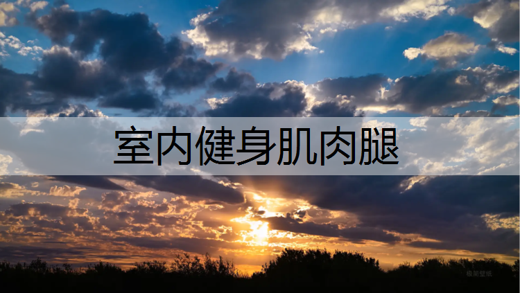 室内健身肌肉腿